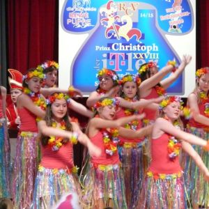 2015-01-31 16-21-12 - P1210904.JPG